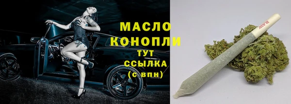 гашик Майский