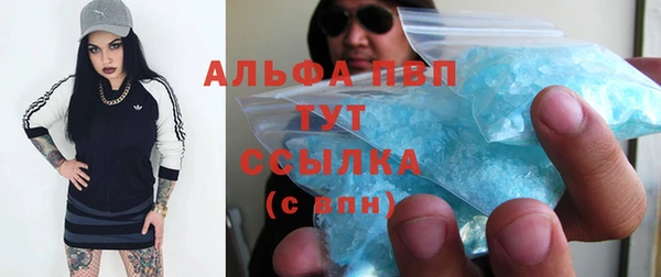 гашик Майский