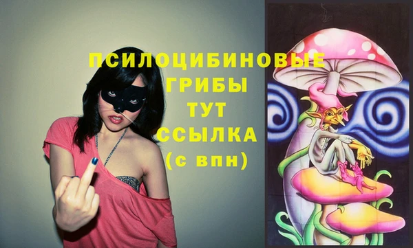 гашик Майский