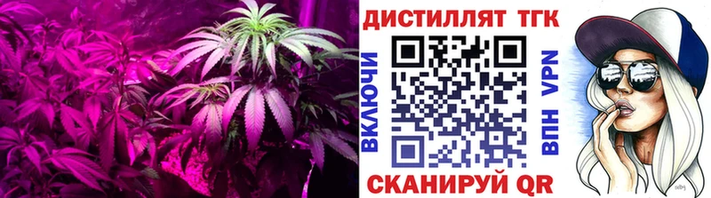 ТГК Wax  mega   Мариинский Посад  наркота 