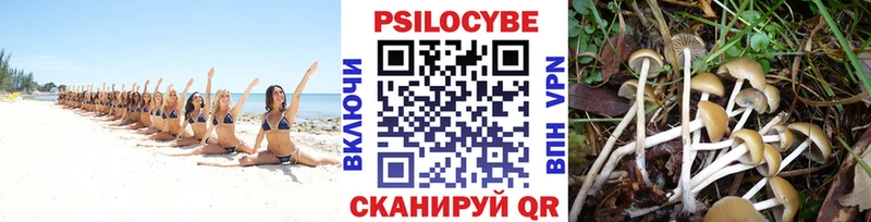 где купить наркотик  Мариинский Посад  ссылка на мегу как войти  Галлюциногенные грибы Cubensis 